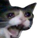 catyell Discord emoji