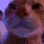 vibecat