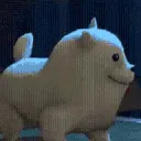 koroneDiscoDog koroneDiscoDog