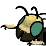 beetuch beetuch