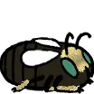 beeloaf