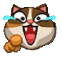 CatLOL