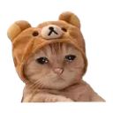 qsad