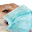 kekMask