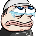 FT_cry