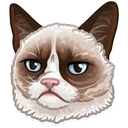 grumpycat