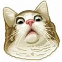 catwow