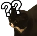 catwtf