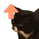 catupvote