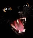 voidscream