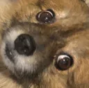 hmm
