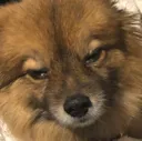 tired
