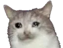 sad