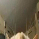 :kat1: Discord Emote