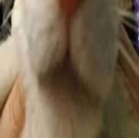 :kat3: Discord Emote