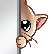 ChatObserve