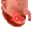hyperhahafuckno