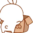 bunHide