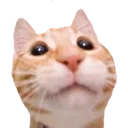 yeahok