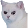 catangery