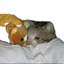 bedtime