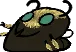 beewut