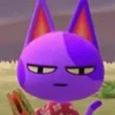 bobstare