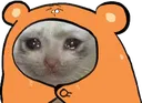 hy_sad