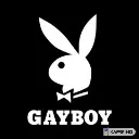 gayboy