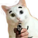 D2S_C_CatWithGun