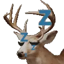 deersleep