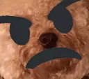 DogsOfDiscord_3_DaisyAngrrr Discord Emoji