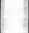 FukuBrain2
