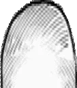 FukuBrain3