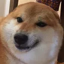 earless earless