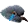 palomasad palomasad