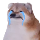 CryungShub