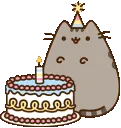 pusheenbirthday