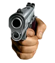 Gun