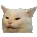 smudgethecat