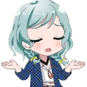 hinashrug hinashrug