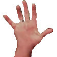 cvPaste