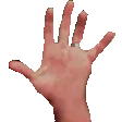 cvPaste2