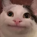 mmh