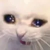 mfwredactedATS mfwredactedATS