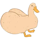 duckbut