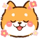 shibahappy