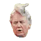 trumphair
