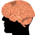 big_brain
