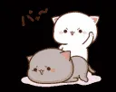 CatSlap